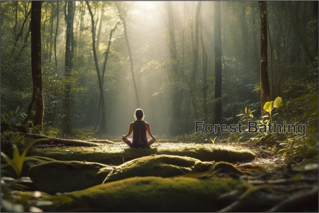 Forest Bathing