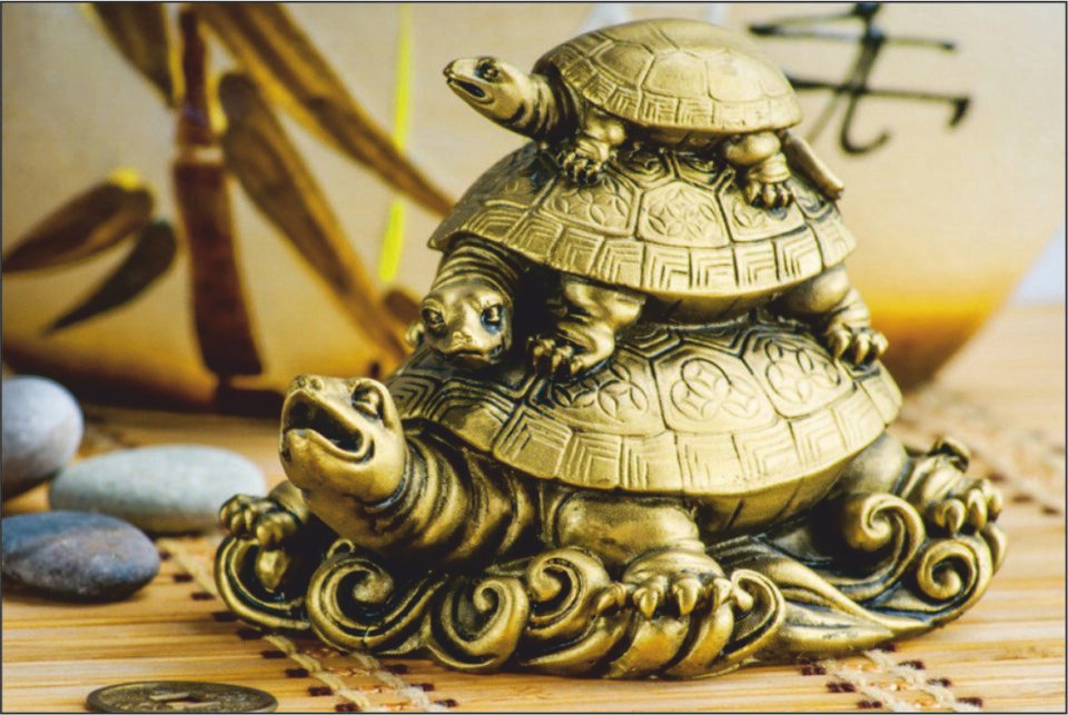 Tortoise Placement as per Vastu Shastra and Feng Shui
